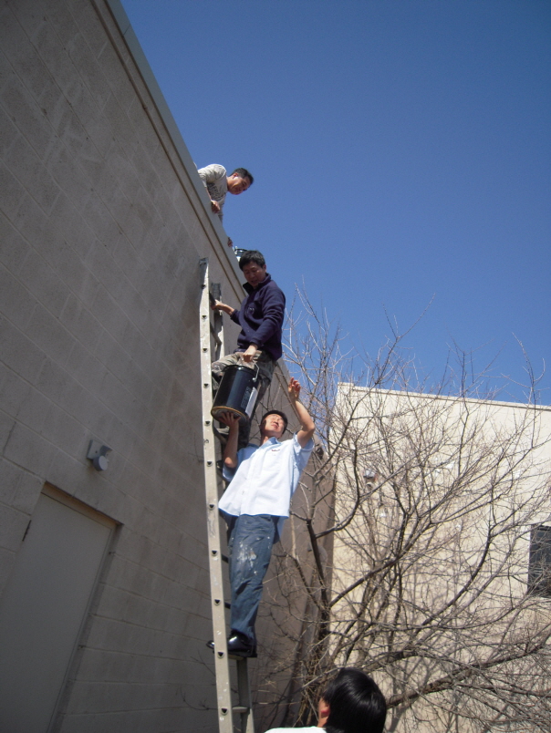 Resized_va roof 002.jpg